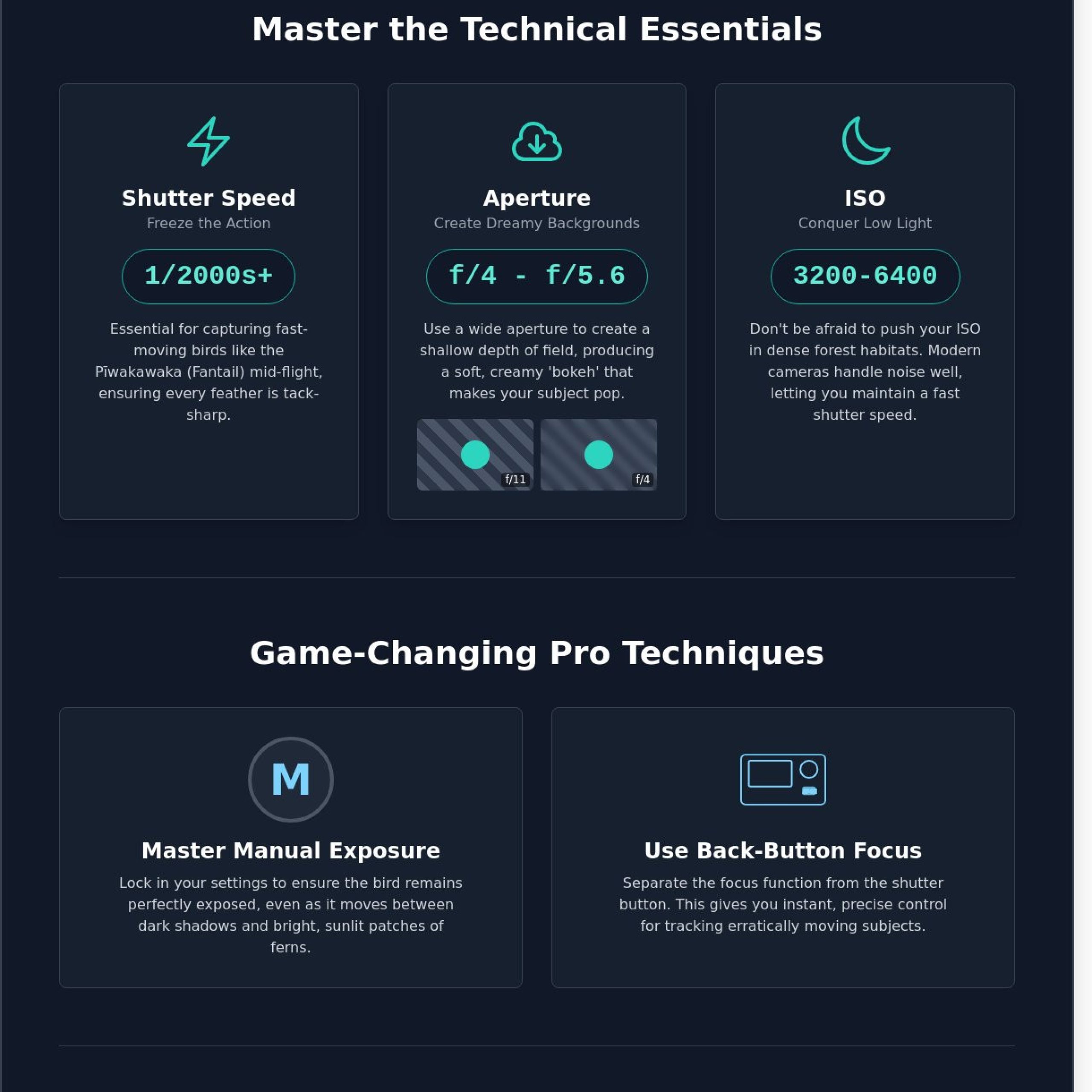 Bird Photography Workshop NZ: Master Wildlife Photography in 2026